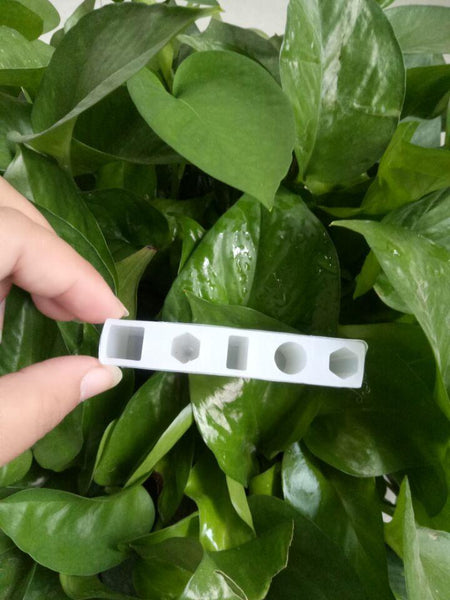 Jewelry Liquid Silicone Molder